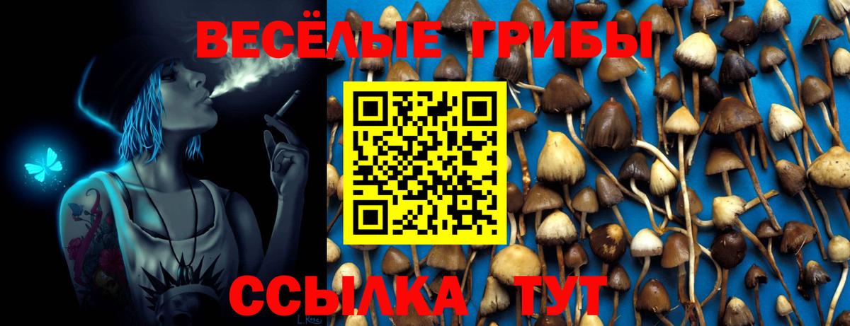 Псилоцибиновые грибы мухоморы Дмитров