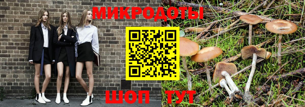 Дмитров  Псилоцибиновые грибы Psilocybine cubensis  Псилоцибиновые грибы ЛСД  Вход с VPN 